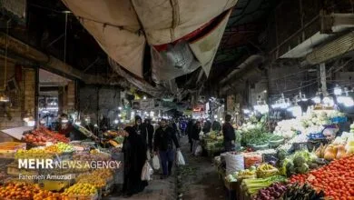 قیمت عمده میوه و سبزیجات در هفته جاری تعیین شد+جدول – خبرگزاری مهر | اخبار ایران و جهان
