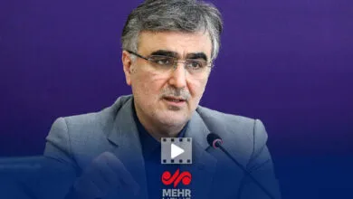 فرزین: عرضه ارز افزایش خواهد یافت